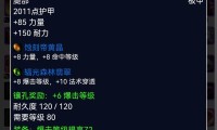巫妖王之怒版本惩戒骑装备选择与搭配指南