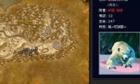 魔兽世界私服宠物抽搐问题的解决方案
