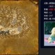魔兽世界私服宠物抽搐问题的解决方案