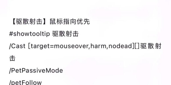 魔兽世界怀旧服猎人宏命令，全面教学与实战技巧