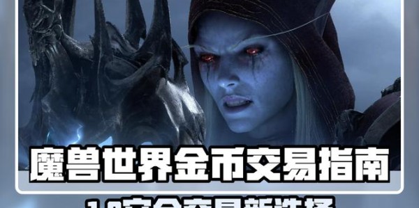 魔兽世界金币交易网站安全性评估报告