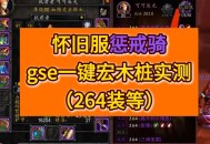 巫妖王之怒，惩戒骑的崛起与辉煌