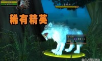 魔兽世界怀旧服60版本猎人宠物选择指南