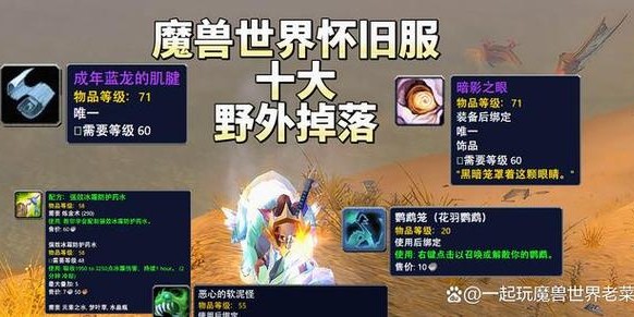 魔兽世界怀旧服，冬幕节掉落物品全解析