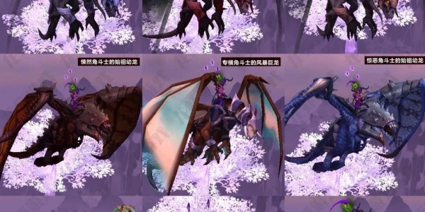 魔兽世界私服一条龙服务全解析