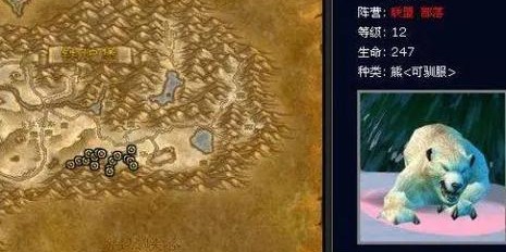 魔兽世界私服宠物抽搐问题解决指南