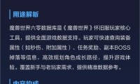 魔兽世界60级版本数据库的全面解析