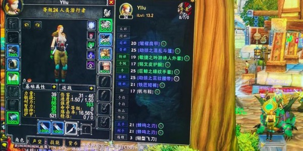 魔兽世界私人服务器的奥秘，深入探索与体验