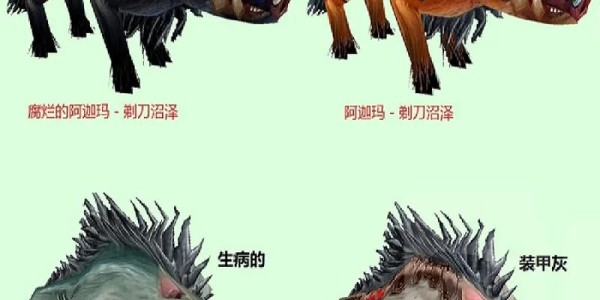 怀旧服60版本，猎人的最佳宠物推荐