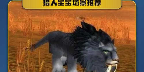 魔兽世界怀旧服60版本猎人宠物选择指南