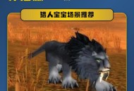 怀旧服60级猎人宠物选择指南