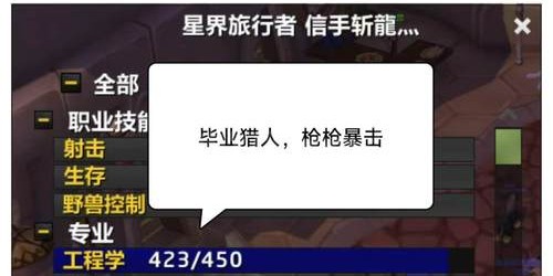 魔兽世界中的远程魔法对决，猎人与术士的较量