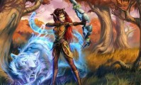 魔兽世界PVP，法师与猎人的较量