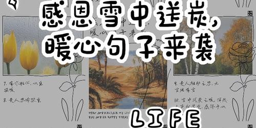 冬幕节的温暖馈赠，节日礼物与温馨时刻