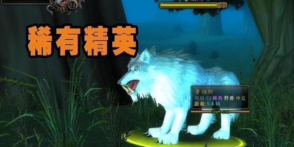 60级猎人稀有宠物全收录