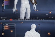 魔兽世界私服封包解析与安全防范策略