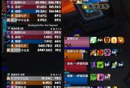 魔兽世界私服卡伤害问题解析与解决策略