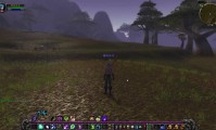 怀旧与创新，60级与80级魔兽世界版本的对比分析
