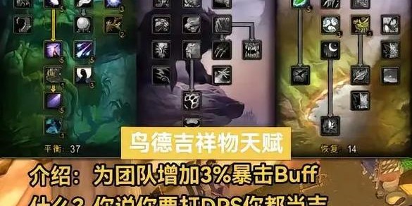 魔兽世界60级私服开服全面指南