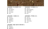 魔兽世界怀旧服，60级附魔技能详解与指南
