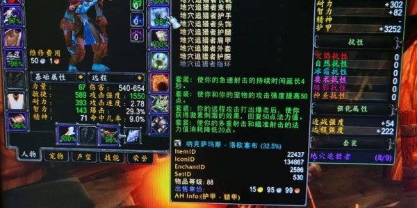 魔兽335公益服，猎人装备选择与搭配全攻略