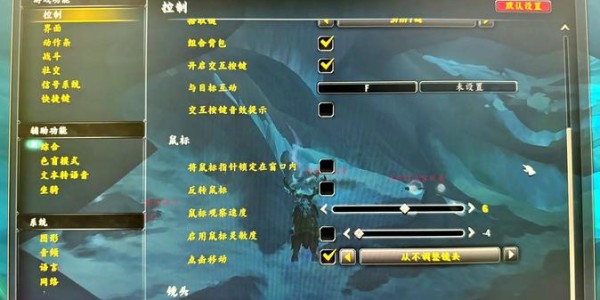 魔兽世界私服自定义与优化指南