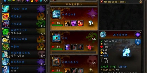 魔兽世界私服宠物抽搐问题解决方案