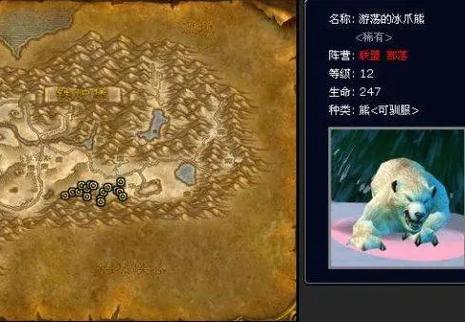 魔兽世界私服宠物抽搐问题解析