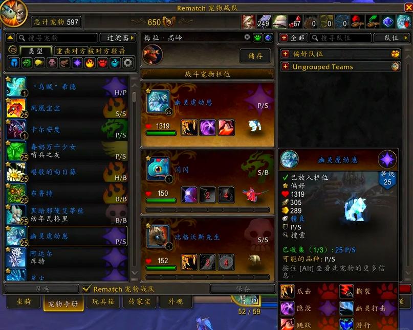 魔兽世界私服宠物抽搐问题解析