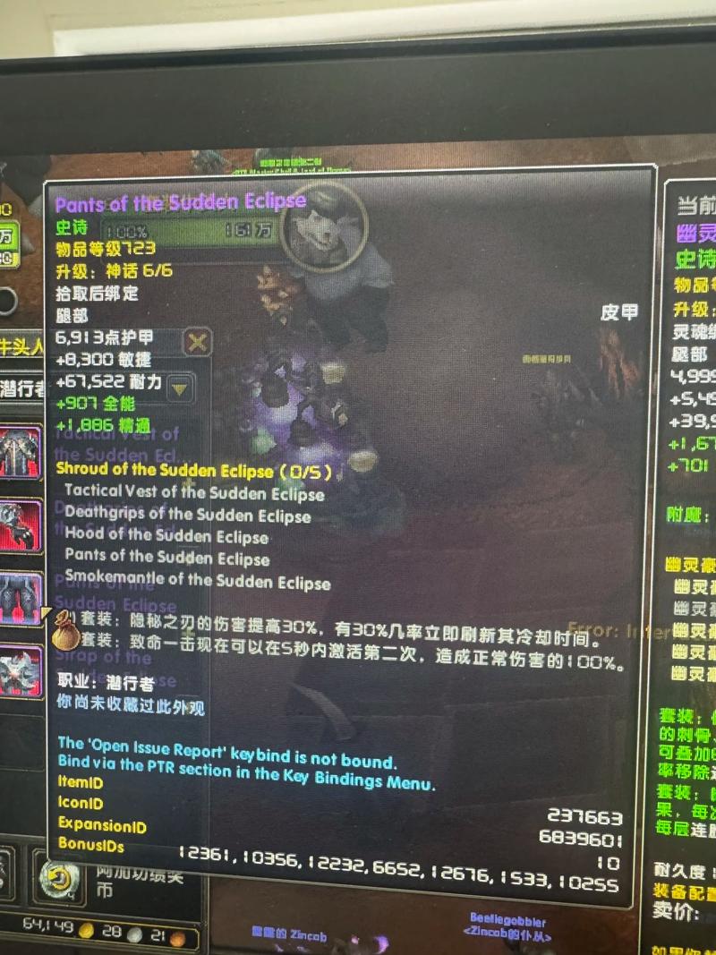探索魔兽世界私服的奥秘