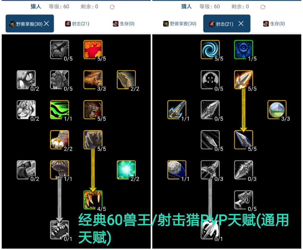 魔兽世界怀旧服60版本猎人天赋加点攻略