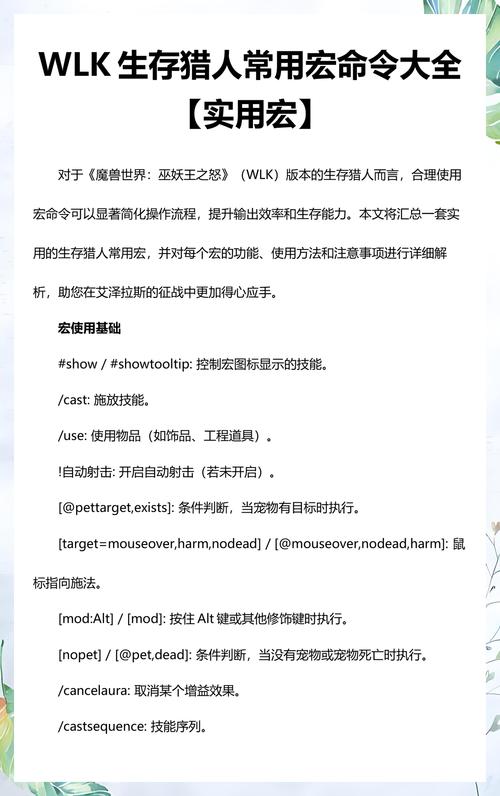 猎人宏命令精解