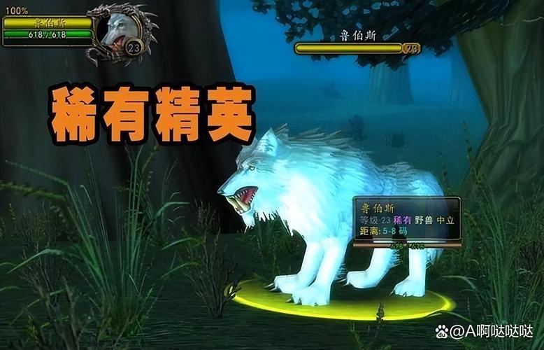 60级魔兽猎人宠物推荐