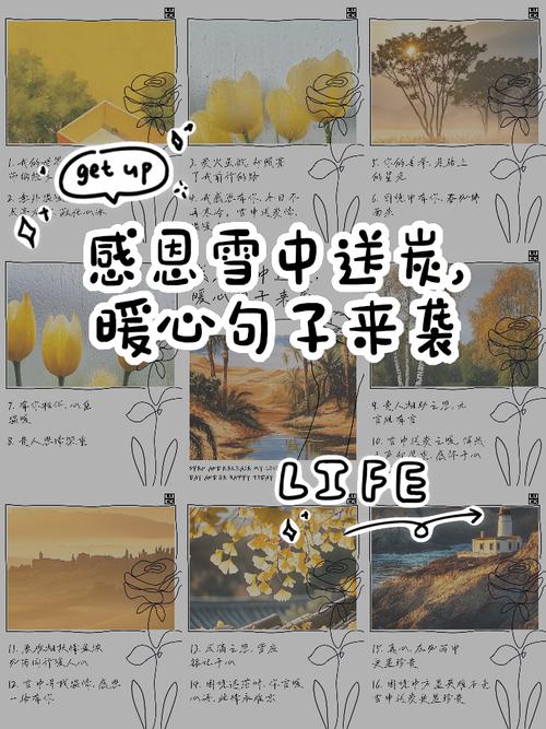 冬幕节的温暖馈赠