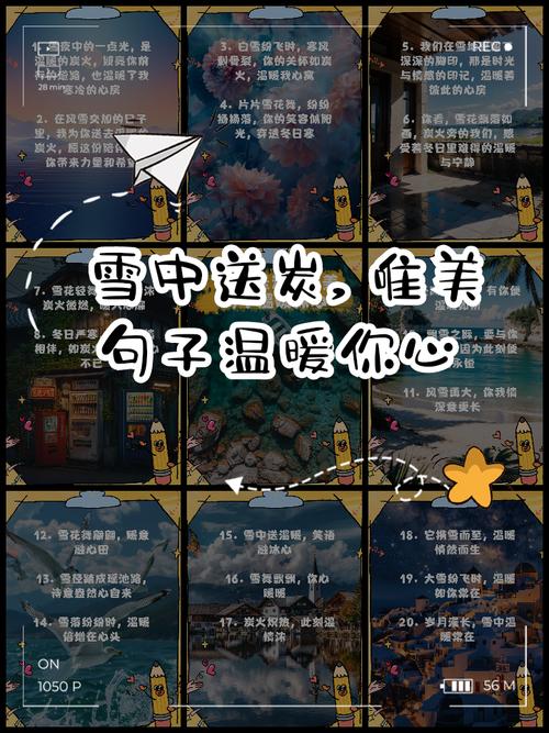冬幕节的温暖馈赠