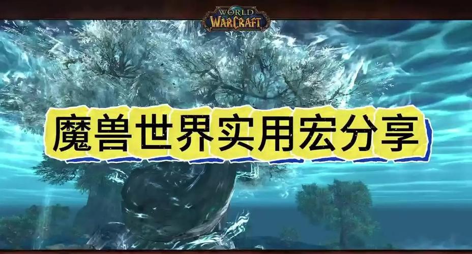 魔兽世界私服发布平台大揭秘!