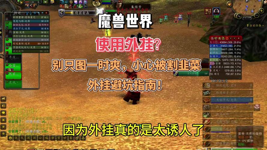 魔兽世界私服外挂秒怪破解版,风险与后果