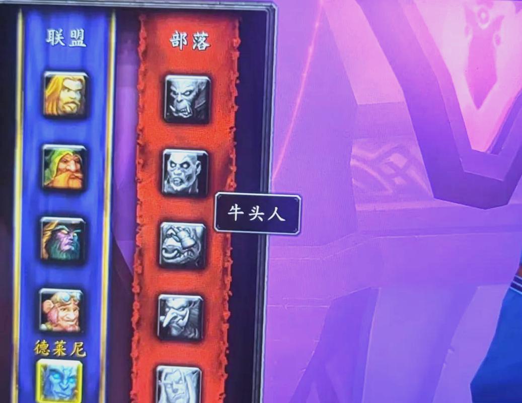 魔兽世界私服现状与玩家指南